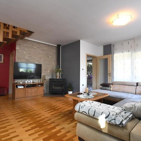 Villa Tinov Dvor Brisevo Esterno foto